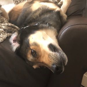 Meet your Posher, Leah